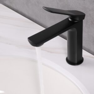 Aqua Balli Single Lever Bathroom Vanity Faucet – Matte Black